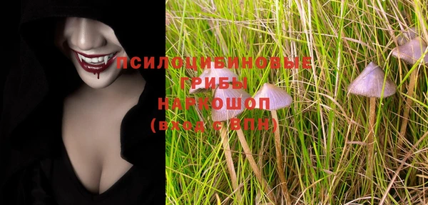 a pvp Богданович