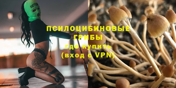 соль ск Балахна