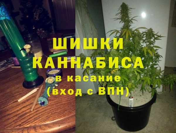 дживик Богородск
